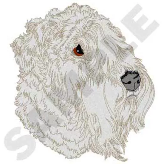 Weich Coated Wheaton Terrier