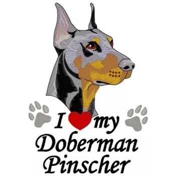Dobermann pinscher