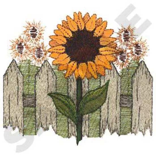 Sonnenblumen mit Zaun