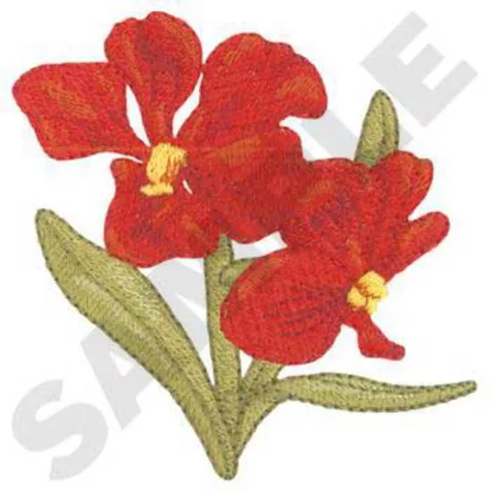Vandaceous Orchideen