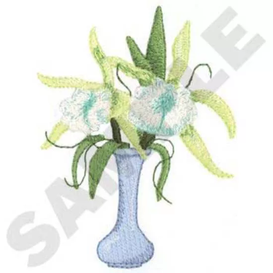 Orchideen in einer Vase