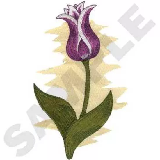 Lily Geblühte Tulpe