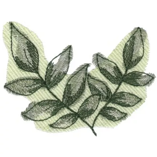 Esche-Baum-Blätter