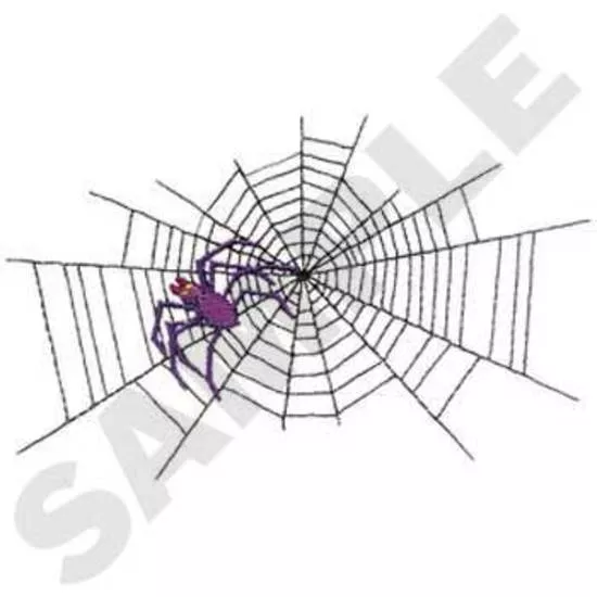 Spinne mit Web